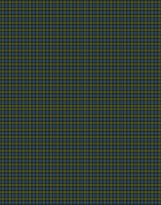 Campbell tartan swatch