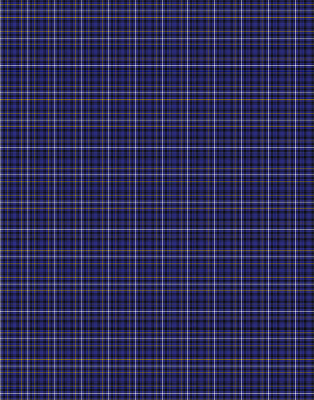 Fleming tartan swatch