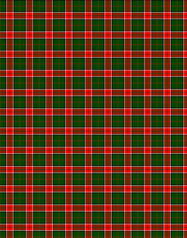 Pollock tartan swatch