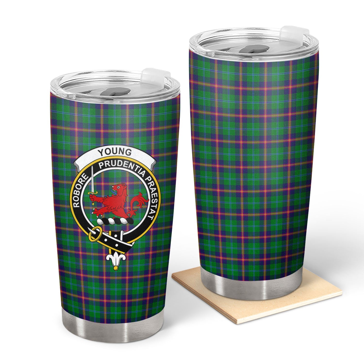 Clan Young Modern Tartan Crest Tumbler PK10 Clan Young Tartan Today   