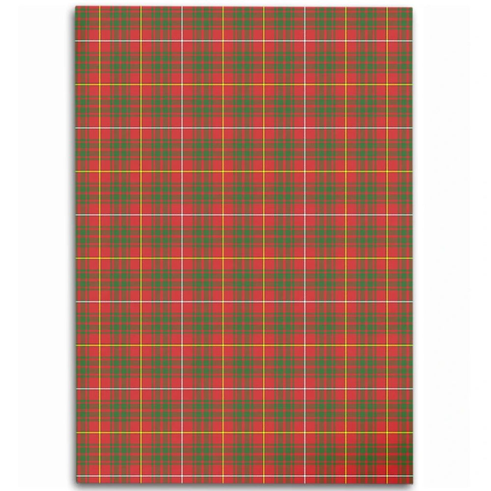 Bruce Modern Tartan Classic Area Rug