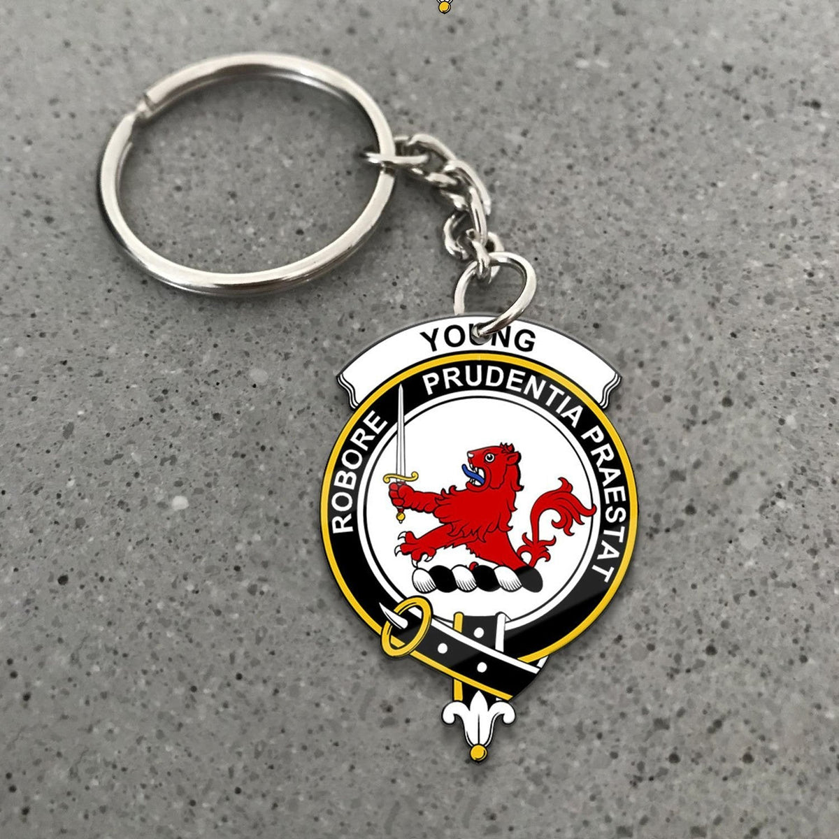 Clan Young Tartan Crest Keychain CE35 Clan Young Tartan Today   