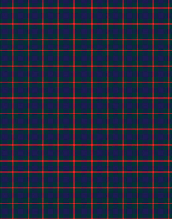 Agnew tartan swatch