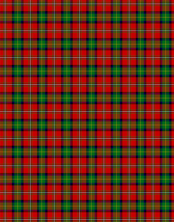 Boyd tartan swatch