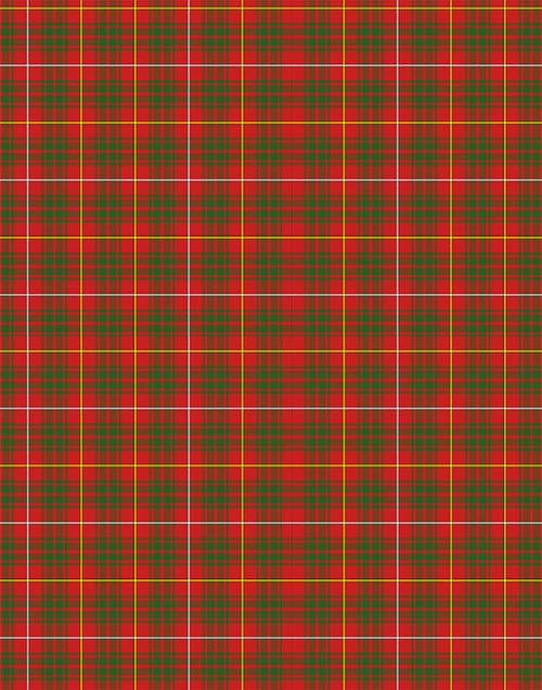 Bruce tartan swatch