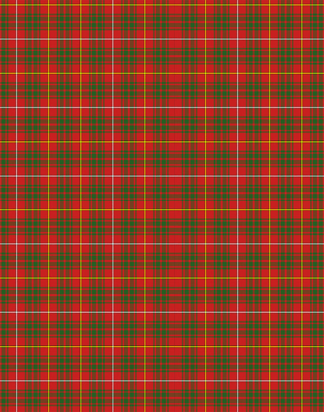Bruce tartan swatch