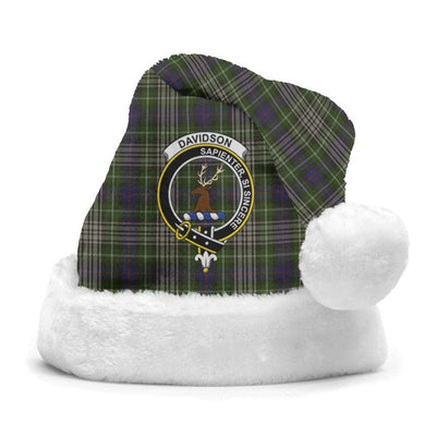 Clan Davidson Tulloch Dress Tartan Crest Christmas Santa Hat TW43