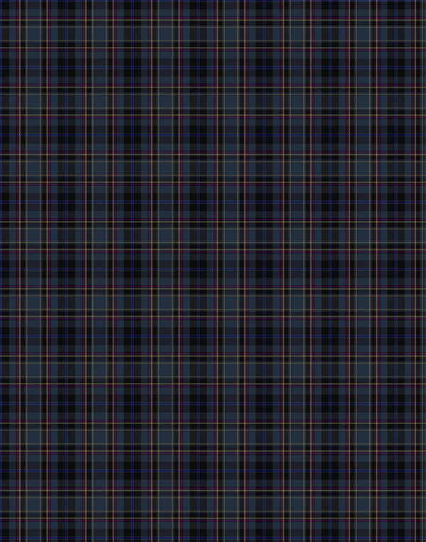 Conway tartan swatch