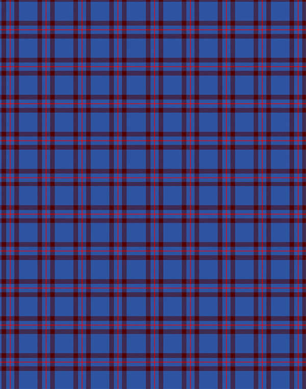 Elliot tartan swatch