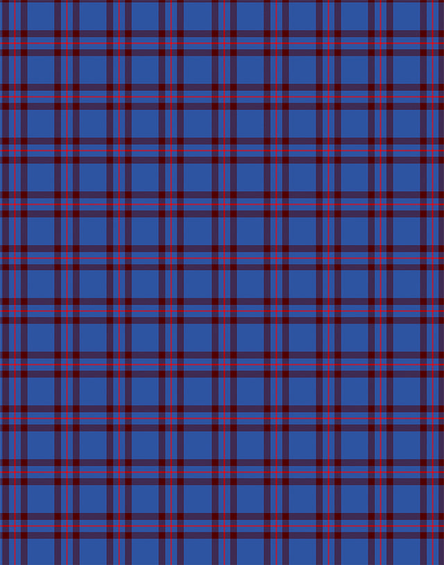 Elliot tartan swatch
