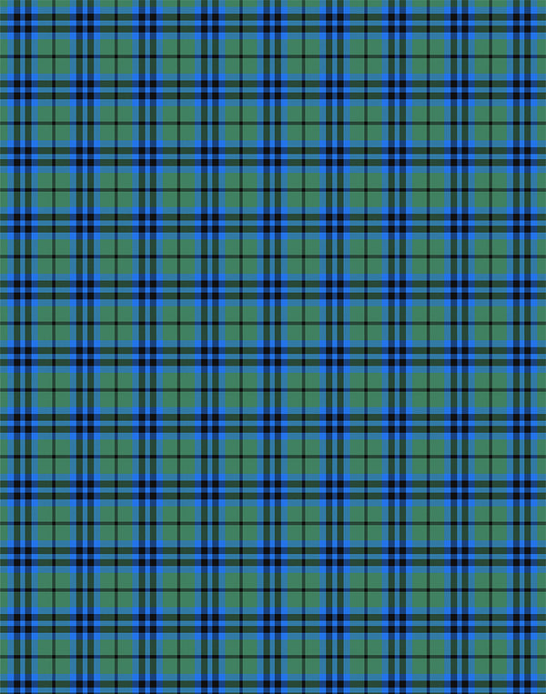 Falconer tartan swatch