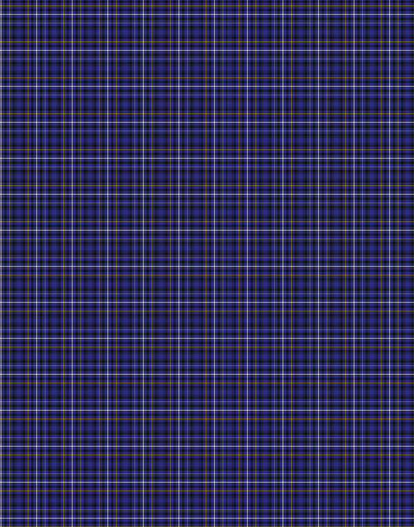 Fleming tartan swatch