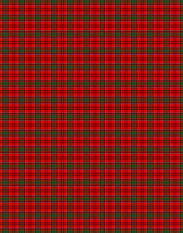 Heron tartan swatch