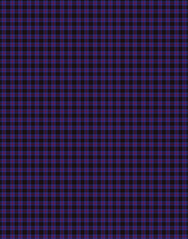 Horsburgh tartan swatch