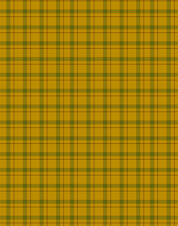 Houston tartan swatch