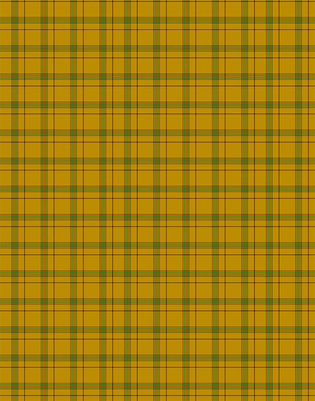 Houston tartan swatch