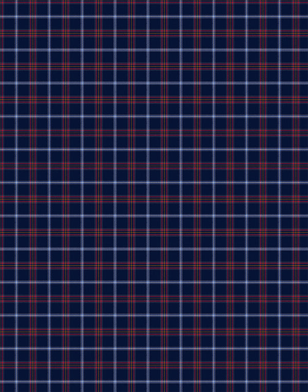 Jewish tartan swatch