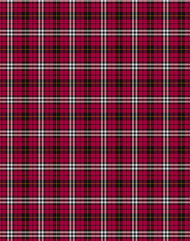 Little tartan swatch