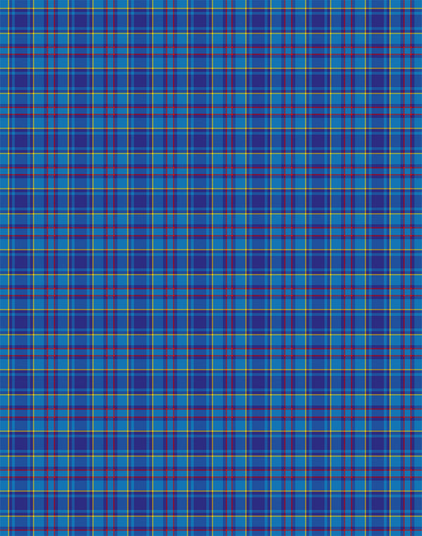 Mercer tartan swatch
