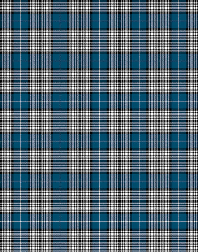 Napier tartan swatch