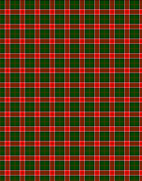 Pollock tartan swatch