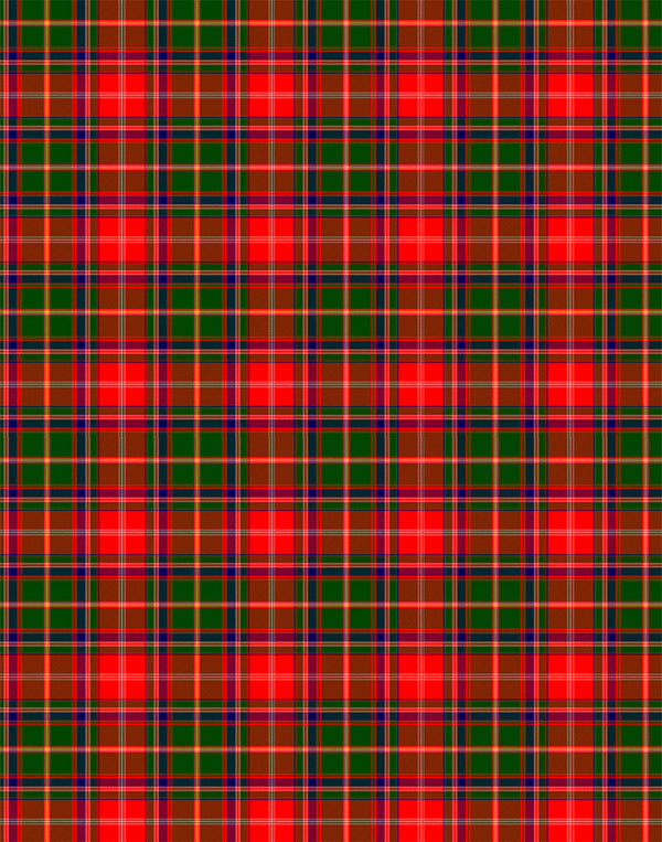 Somerville tartan swatch